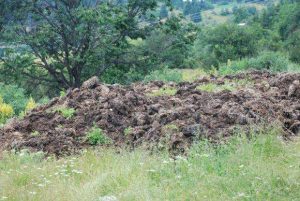 Министър Гуцанов: Над 2000 души с увреждания получават шанс за нормален живот 