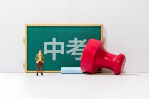 Трактор Zetor 16245 в Селскостопанска техника в гр. Свиленград – ID50276662